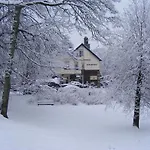 Beechwood