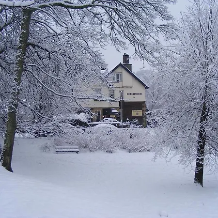 Beechwood